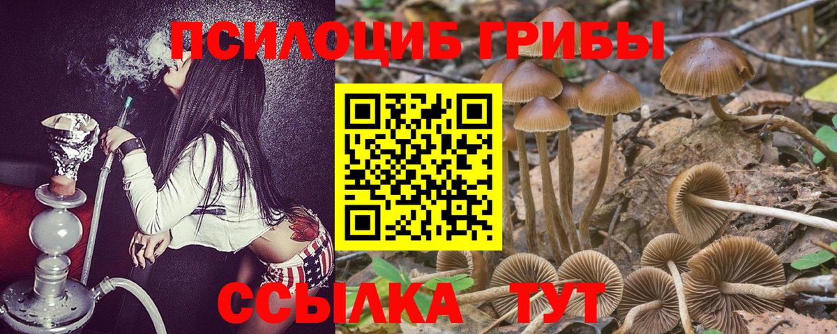 Галлюциногенные грибы Magic Shrooms Ишим