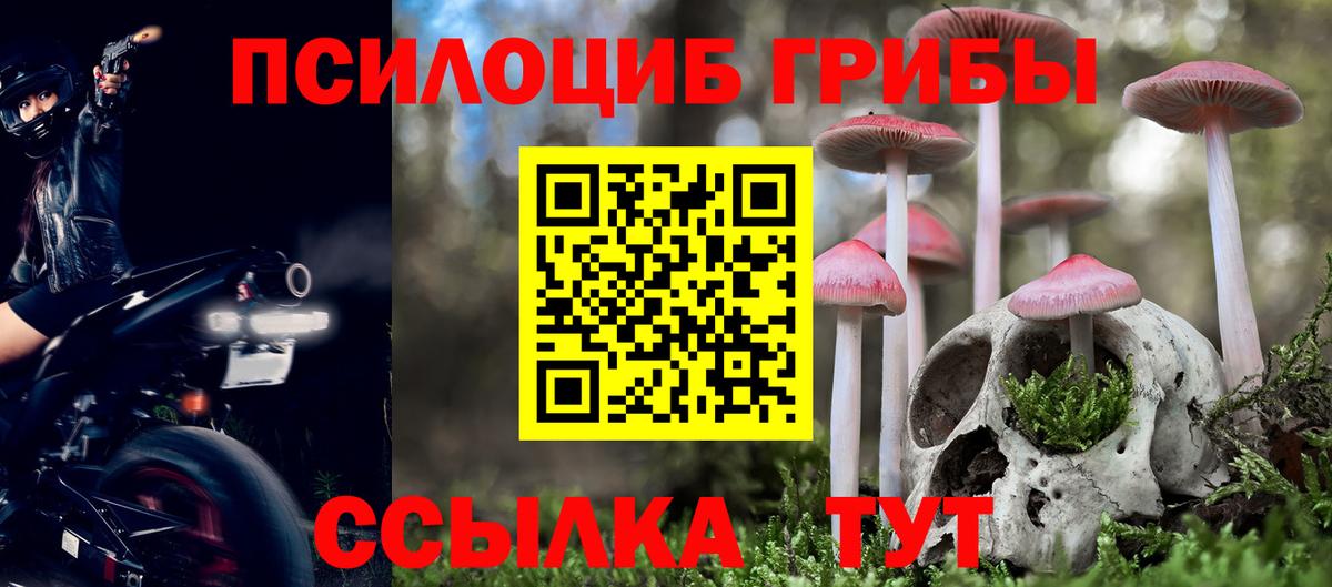 Галлюциногенные грибы Psilocybe  Вход с VPN  Ишим  Галлюциногенные грибы Cubensis 